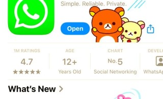 whatsapp语音下载不了怎么办 常见原因与解决方法汇总